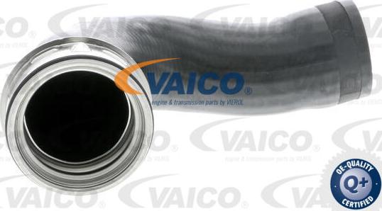 VAICO V10-3768 - Въздуховод за турбината vvparts.bg