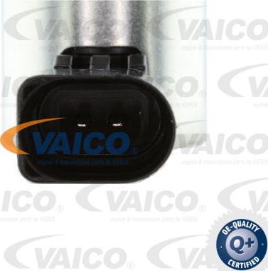 VAICO V10-3731 - Управляващ клапан, регулиране на разпределителния вал vvparts.bg