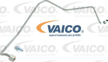 VAICO V10-3733 - Масловод, турбина vvparts.bg