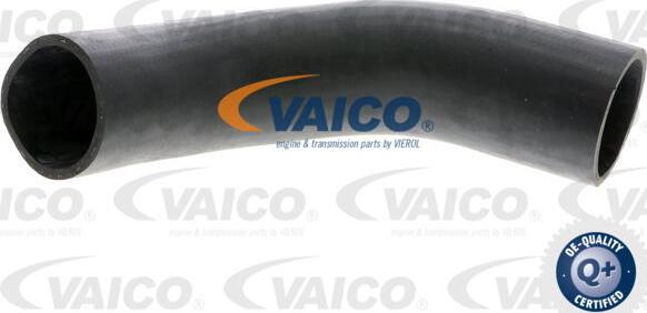 VAICO V10-3779 - Въздуховод за турбината vvparts.bg