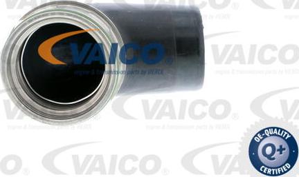 VAICO V10-2908 - Въздуховод за турбината vvparts.bg