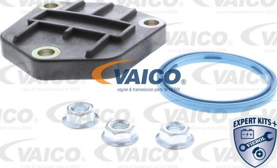 VAICO V10-2638-1 - Уплътнение, маслоутаител vvparts.bg