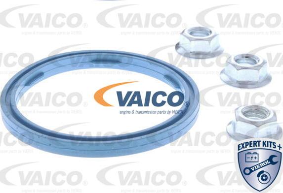 VAICO V10-2638-1 - Уплътнение, маслоутаител vvparts.bg