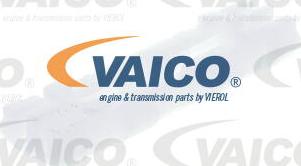 VAICO V10-2063 - Клипс (щипка), декоративна / предпазна лайсна vvparts.bg