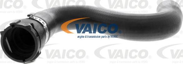 VAICO V10-2819 - Маркуч на радиатора vvparts.bg
