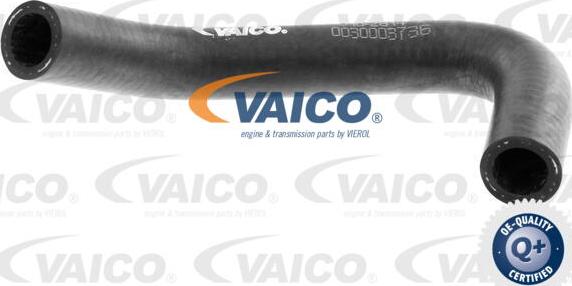 VAICO V10-2814 - Маркуч на радиатора vvparts.bg