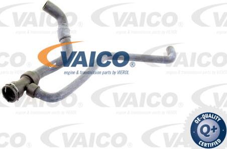 VAICO V10-2818 - Маркуч на радиатора vvparts.bg