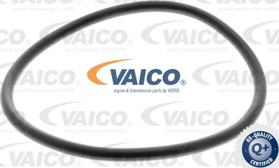 VAICO V10-2287-1 - Хидравличен филтър, автоматична предавателна кутия vvparts.bg