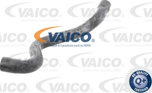 VAICO V10-2730 - Маркуч на радиатора vvparts.bg