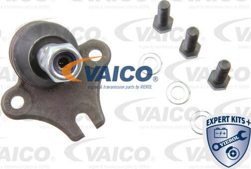 VAICO V10-7179 - Шарнири vvparts.bg