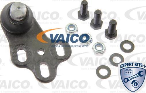 VAICO V10-7176-1 - Шарнири vvparts.bg