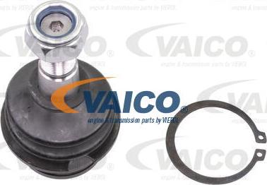 VAICO V10-7178-1 - Шарнири vvparts.bg