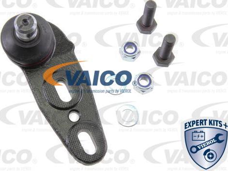 VAICO V10-7206 - Шарнири vvparts.bg