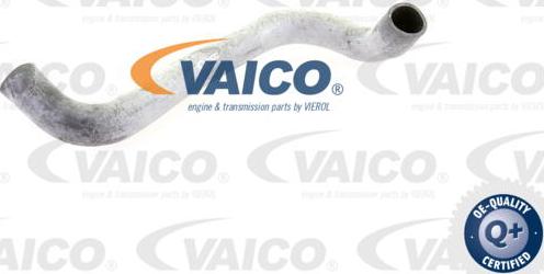 VAICO V30-0221 - Маркуч на радиатора vvparts.bg