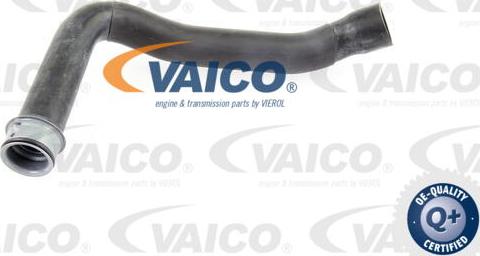 VAICO V30-1659 - Маркуч на радиатора vvparts.bg
