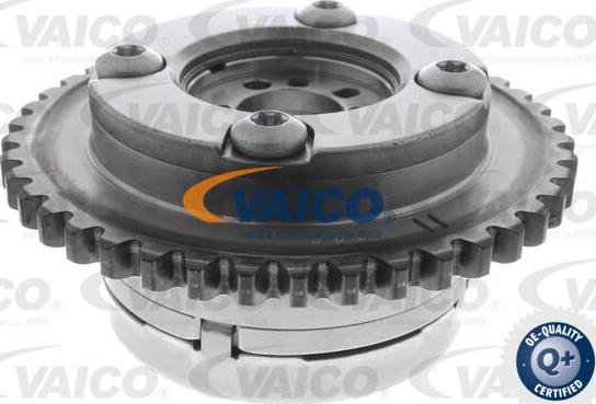 VAICO V30-10023 - Комплект ангренажна верига vvparts.bg