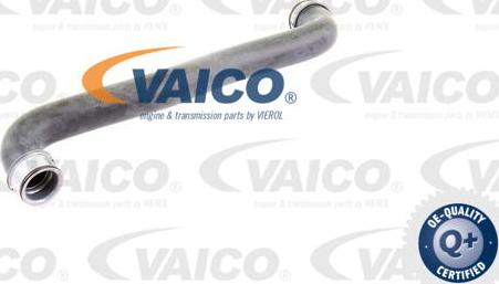VAICO V30-2226 - Маркуч на радиатора vvparts.bg