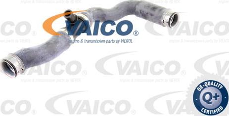 VAICO V30-2222 - Маркуч на радиатора vvparts.bg