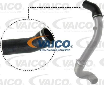 VAICO V30-2717 - Въздуховод за турбината vvparts.bg