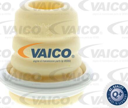 VAICO V24-0530 - Ударен тампон, окачване (ресьори) vvparts.bg