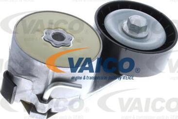 VAICO V24-0141 - Паразитна / водеща ролка, пистов ремък vvparts.bg