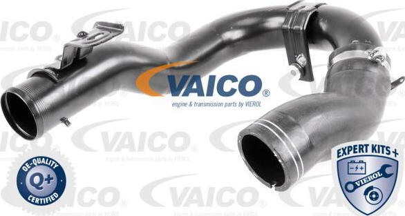 VAICO V24-0718 - Въздуховод за турбината vvparts.bg