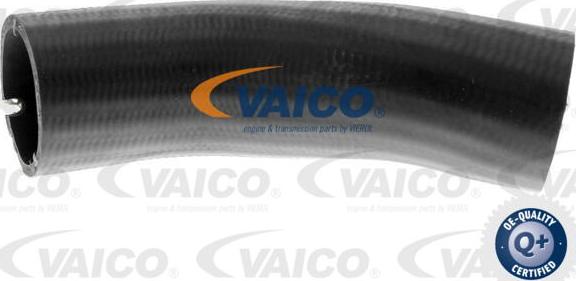 VAICO V24-0717 - Въздуховод за турбината vvparts.bg