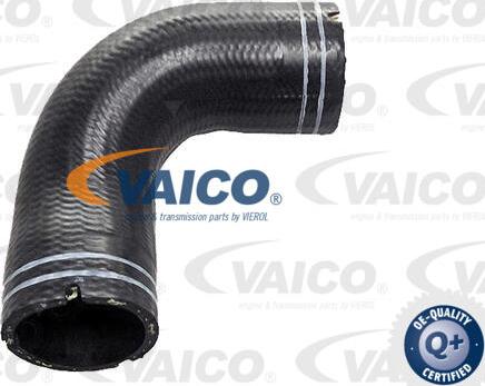 VAICO V24-1063 - Маркуч, вентилация на колянно-мотовилковия блок vvparts.bg