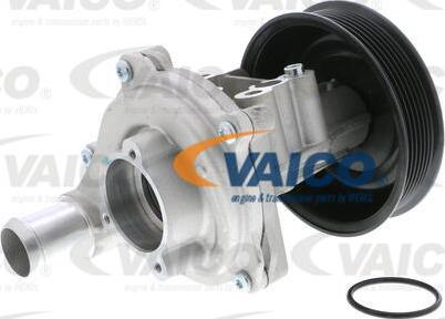 VAICO V25-50022 - Водна помпа vvparts.bg