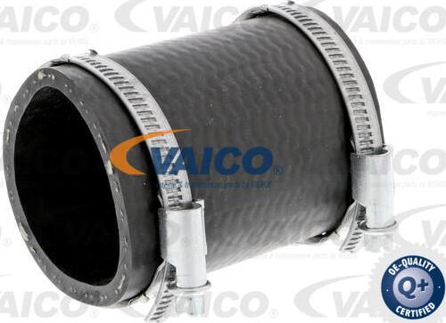 VAICO V25-0995 - Въздуховод за турбината vvparts.bg