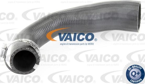 VAICO V25-0947 - Въздуховод за турбината vvparts.bg