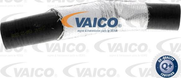 VAICO V25-0950 - Въздуховод за турбината vvparts.bg
