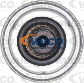VAICO V25-0111 - Горивен филтър vvparts.bg