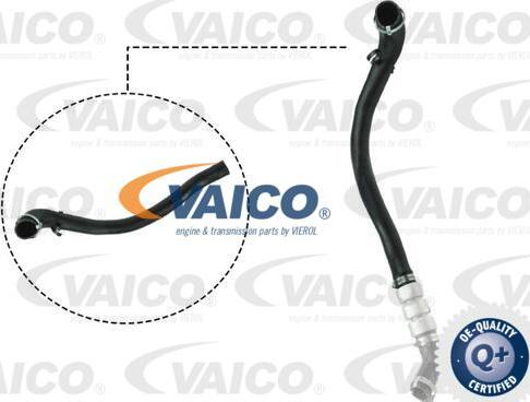 VAICO V25-1038 - Въздуховод за турбината vvparts.bg