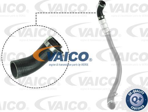 VAICO V25-1037 - Въздуховод за турбината vvparts.bg