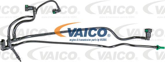 VAICO V25-1150 - Горивопровод vvparts.bg