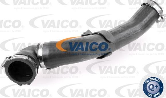 VAICO V25-1176 - Въздуховод за турбината vvparts.bg