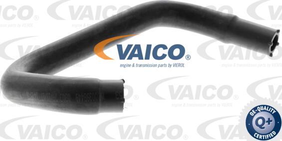 VAICO V25-1222 - Маркуч, вентилация на колянно-мотовилковия блок vvparts.bg