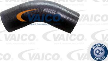 VAICO V20-4370 - Маслен маркуч vvparts.bg