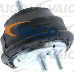 VAICO V20-1021 - Окачване, двигател vvparts.bg