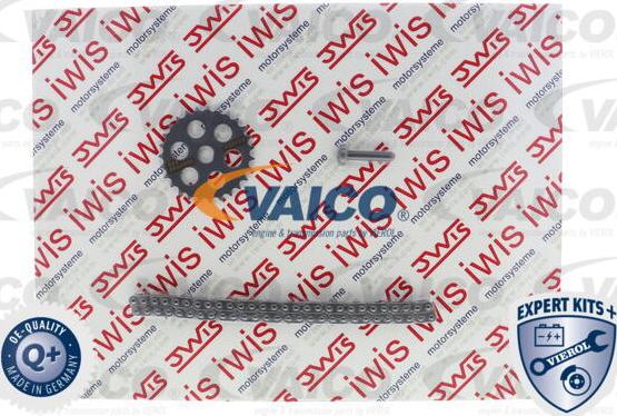 VAICO V20-3921 - Верига к-кт, задвижване маслена помпа vvparts.bg