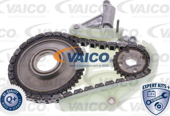 VAICO V20-3812 - Верига к-кт, задвижване маслена помпа vvparts.bg