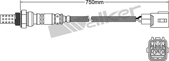 VEGAZ DLS-128 - Ламбда-сонда vvparts.bg