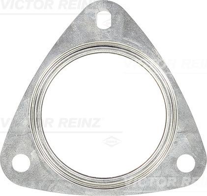 Victor Reinz 71-42132-00 - Уплътнение, турбина vvparts.bg