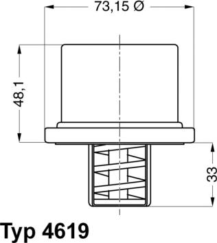 WAHLER 4619.86 - Термостат, охладителна течност vvparts.bg