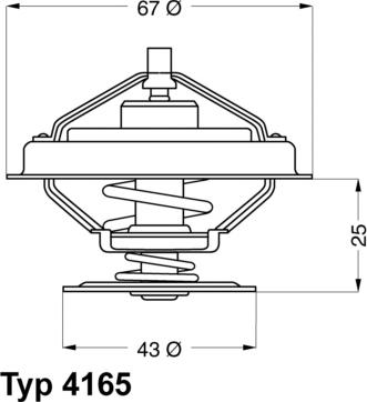 WAHLER 416579D - Термостат, охладителна течност vvparts.bg