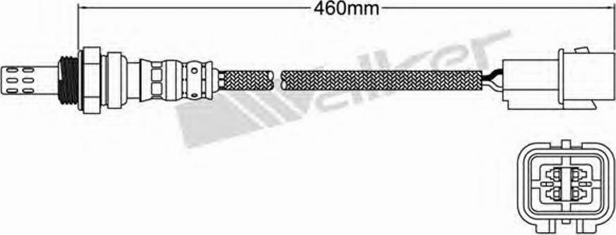 Walker 250-24461 - Ламбда-сонда vvparts.bg