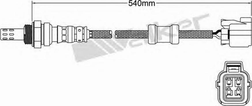 Walker 250-24429 - Ламбда-сонда vvparts.bg