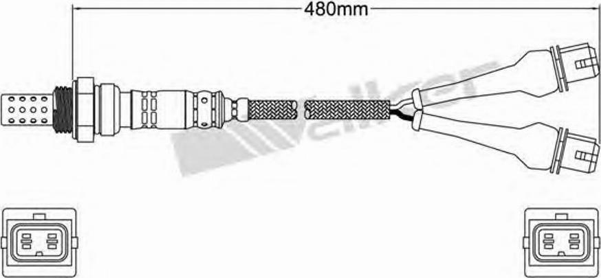 Walker 250-24579 - Ламбда-сонда vvparts.bg