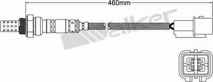 Walker 25024662 - Ламбда-сонда vvparts.bg